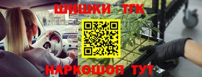 стаф Заводоуковск