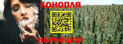 стаф Заводоуковск