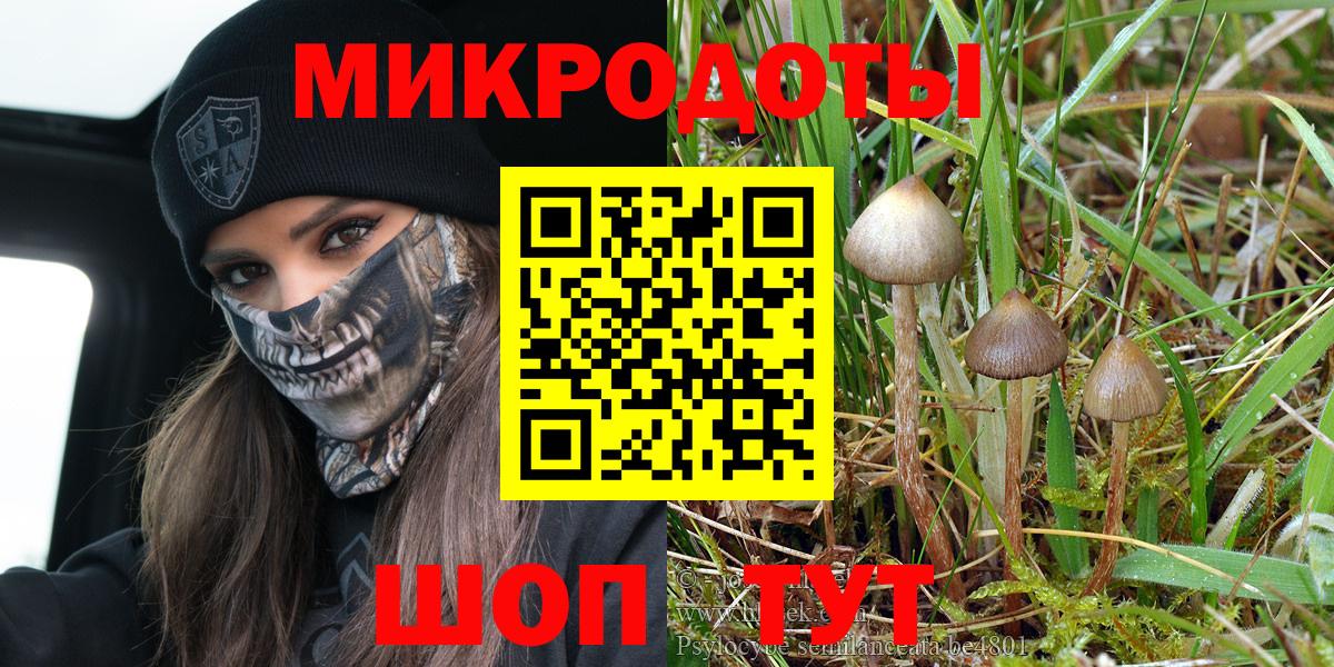 Псилоцибиновые грибы Cubensis Рассказово