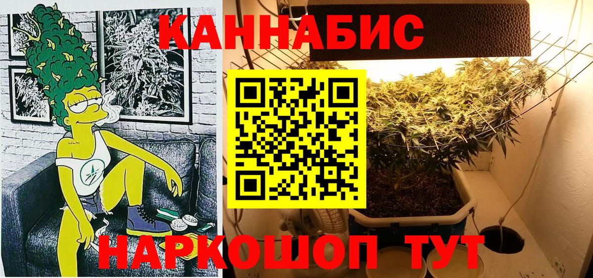Бошки марихуана ГИДРОПОН  Вход с VPN  Рассказово  Конопля индика  Бошки марихуана OG Kush 